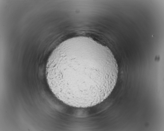 X0000111830275200908131553