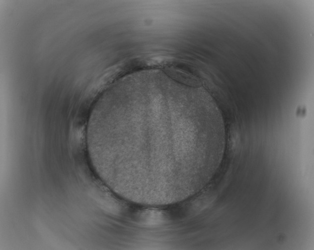 X0000111830276200908131553