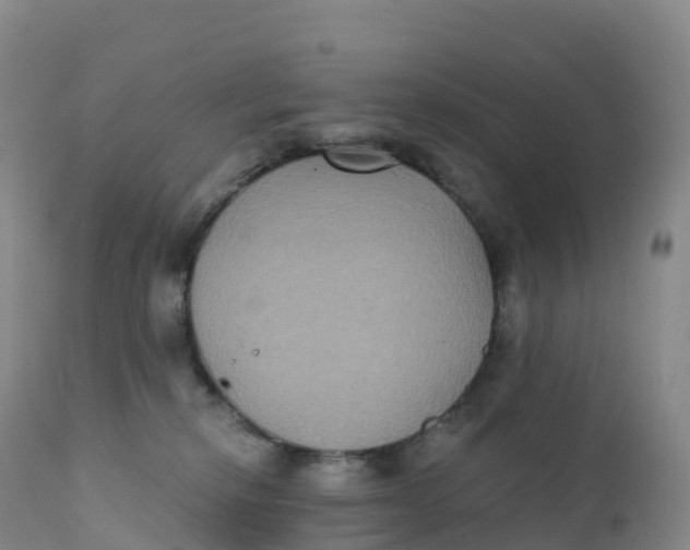 X0000111830278200908131553