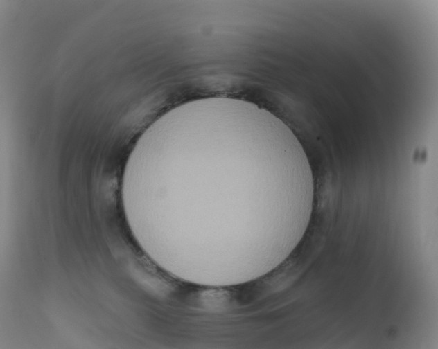 X0000111830279200908131553