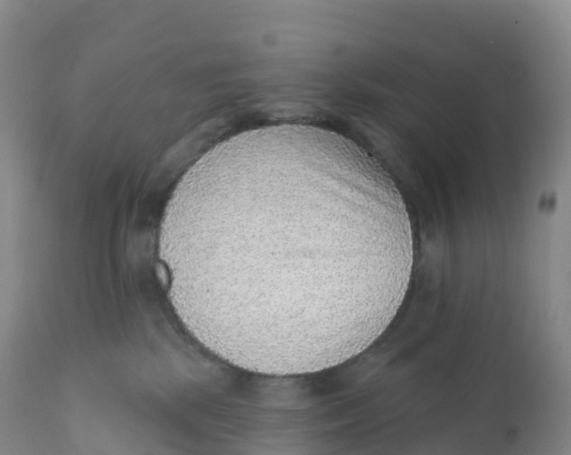 X0000111830281200908131553