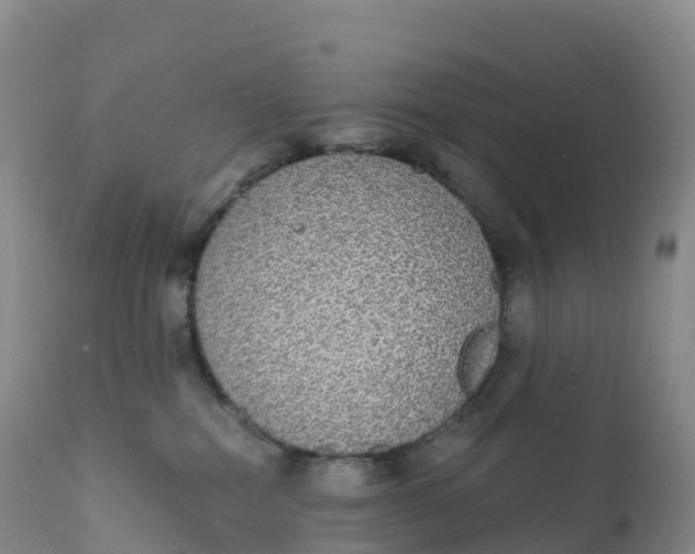 X0000111830282200908131553