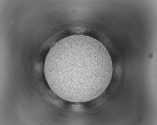 X0000111830283200908131553