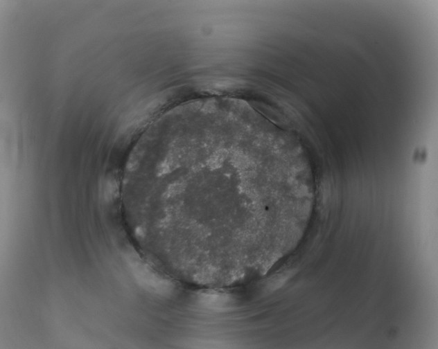 X0000111830284200908131553