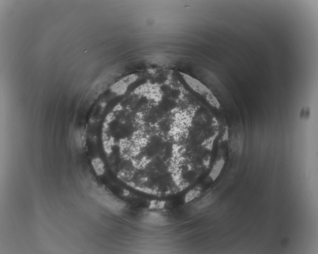 X0000111830285200908131553