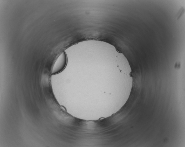 X0000111830287200908131553