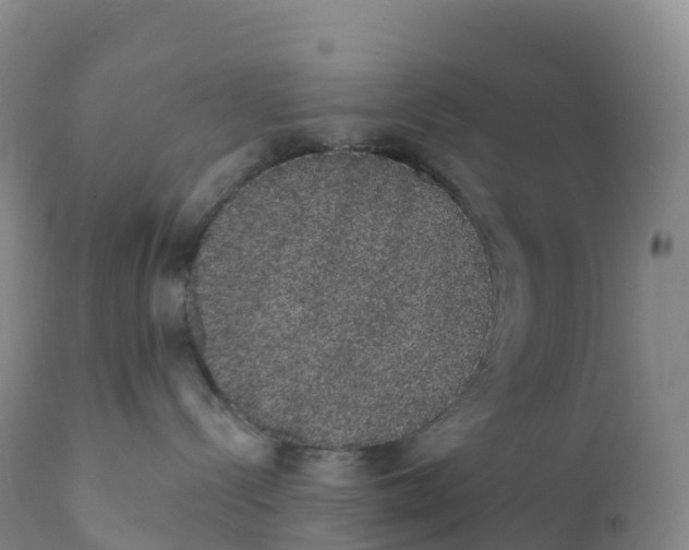 X0000111830288200908131553