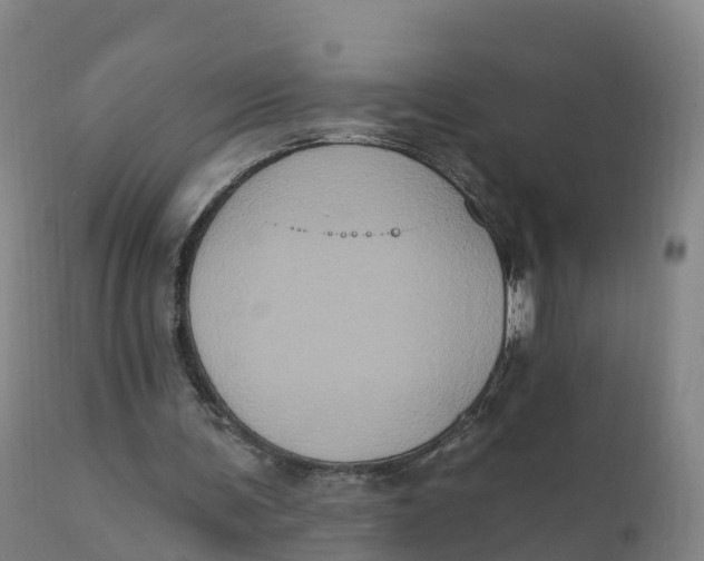 X0000111830291200908131553