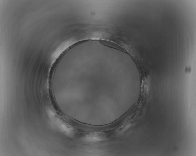 X0000111830292200908131552