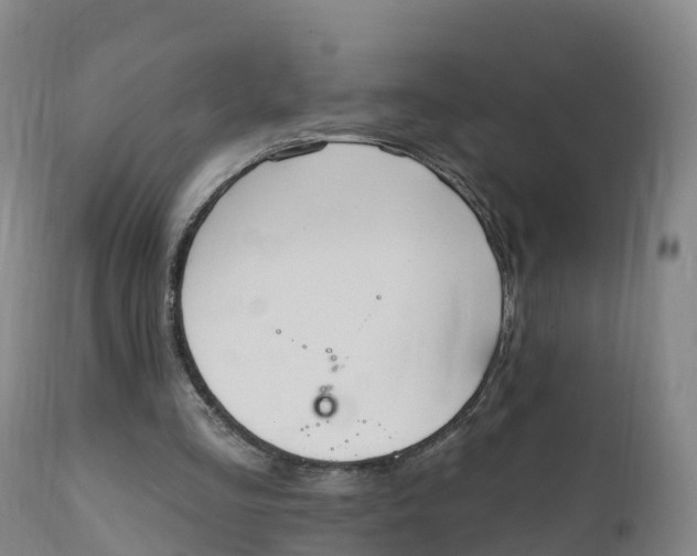 X0000111830293200908131552