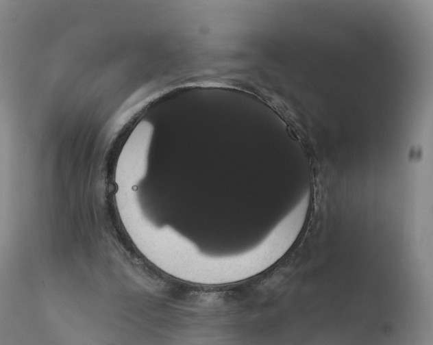 X0000111830295200908131552