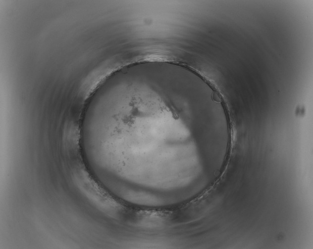 X0000111830297200908131552