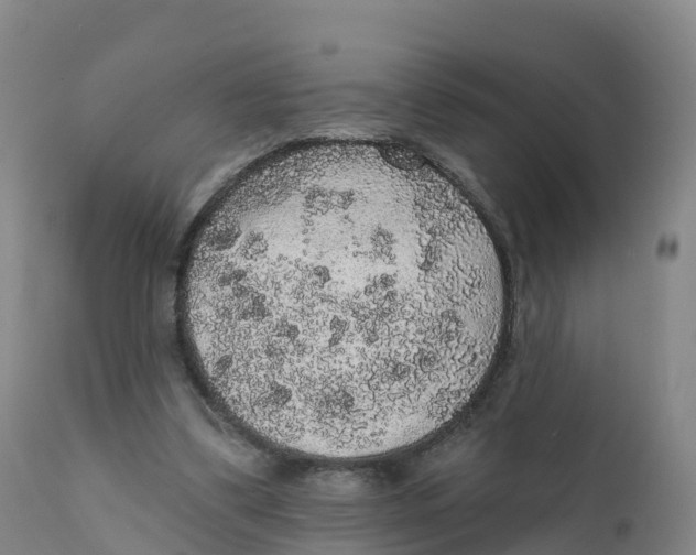 X0000111830299200908131552