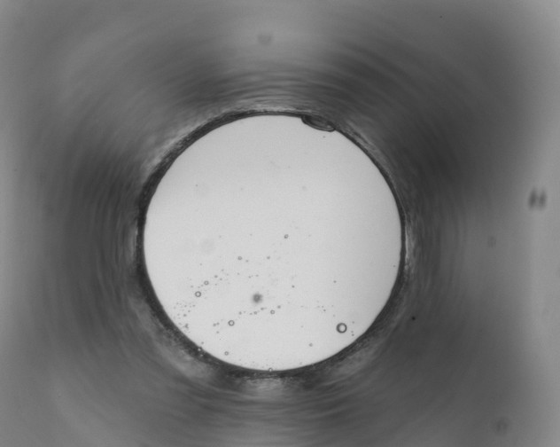 X0000111830301200908131552