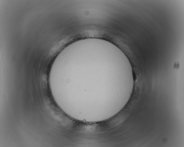 X0000111830306200908131552