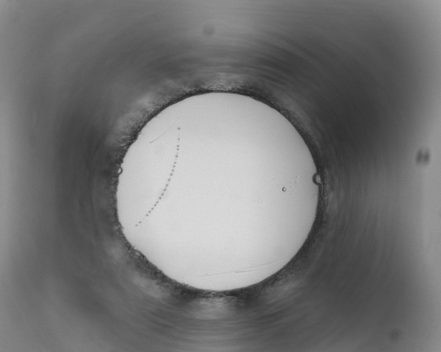 X0000111830307200908131552