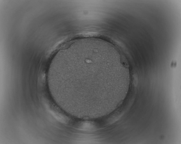 X0000111830308200908131552