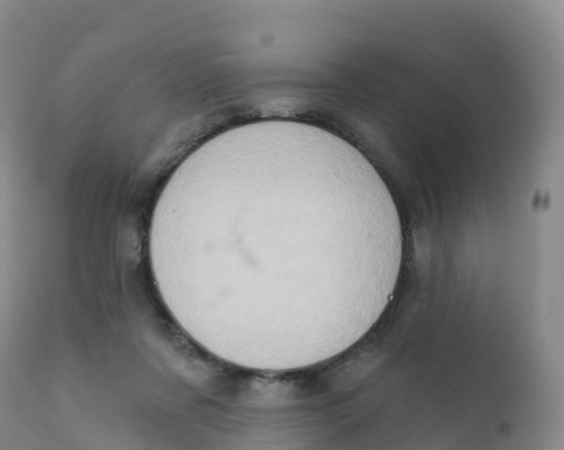 X0000111830311200908131552