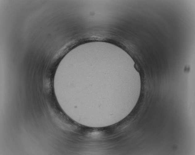 X0000111830312200908131552