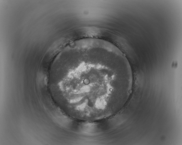 X0000111830313200908131552