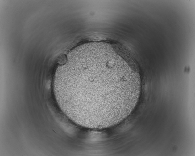 X0000111830315200908131552