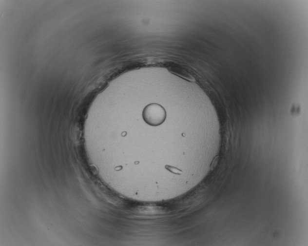 X0000111830316200908131552