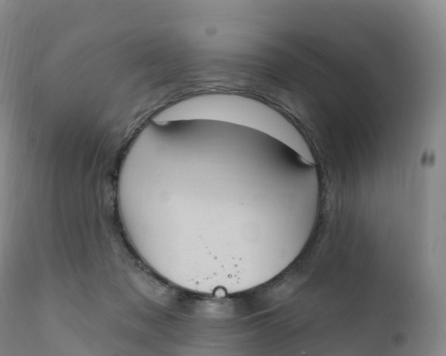 X0000111830317200908131552