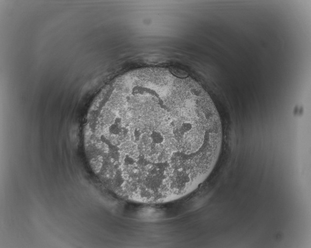 X0000111830319200908131552