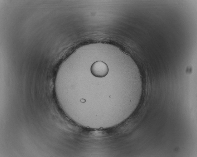 X0000111830320200908131552