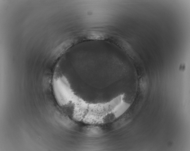 X0000111830322200908131552