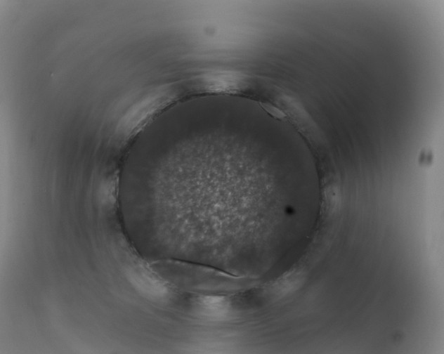 X0000111830325200908131552