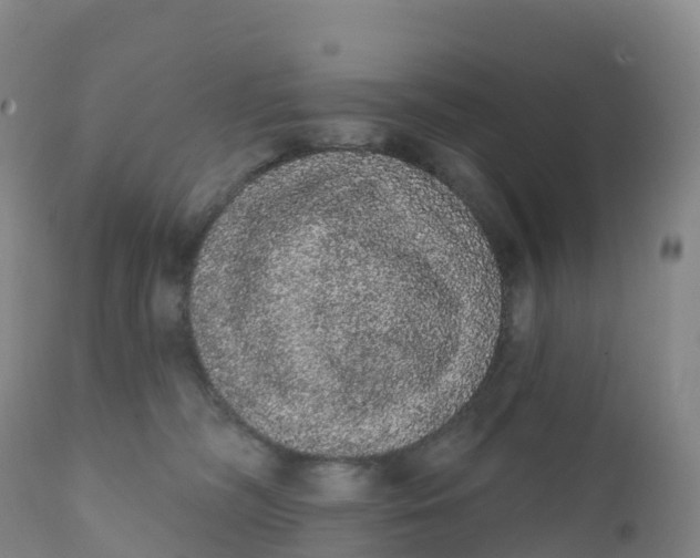 X0000111830326200908131552