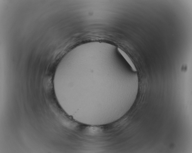 X0000111830327200908131552