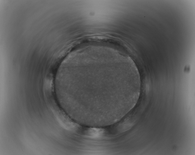 X0000111830328200908131552