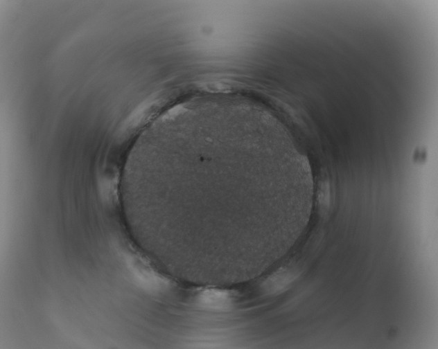 X0000111830332200908131552