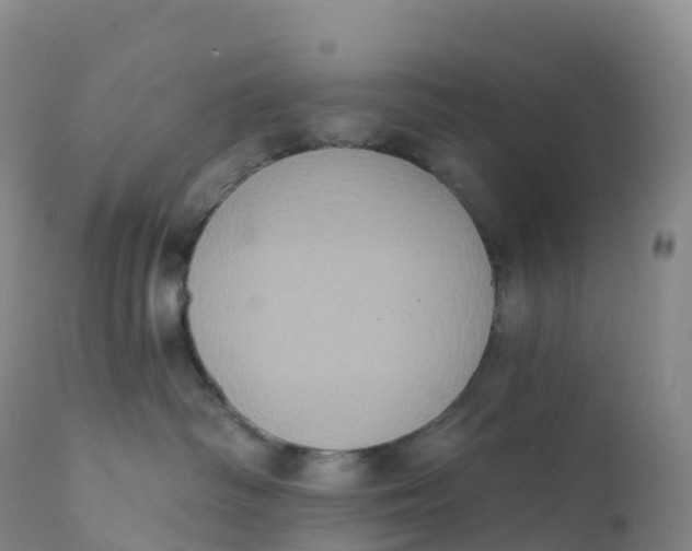 X0000111830334200908131552