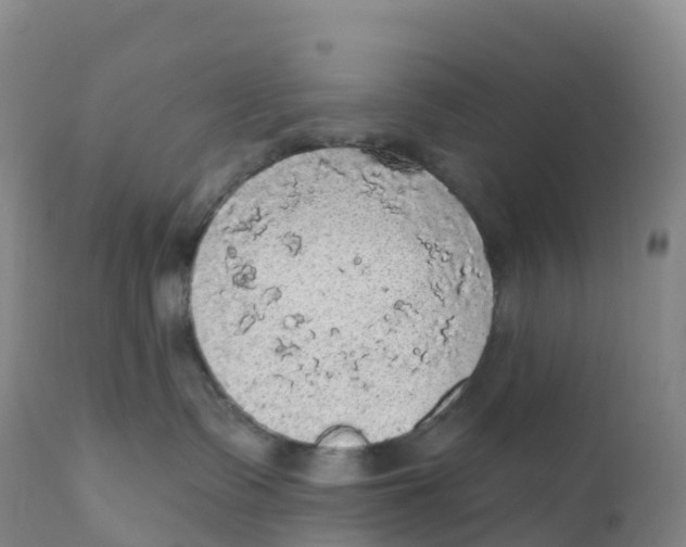 X0000111830335200908131552