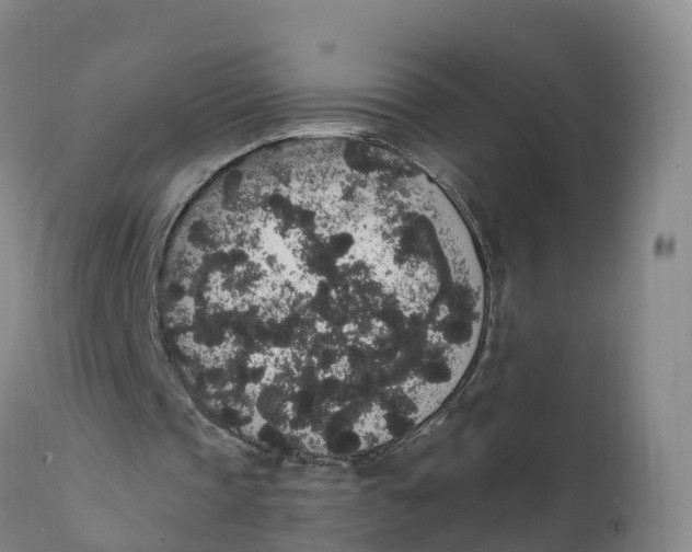 X0000111830337200908131551