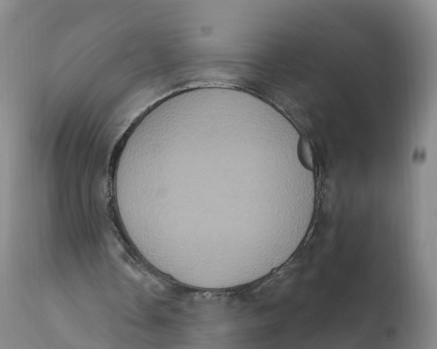 X0000111830338200908131551