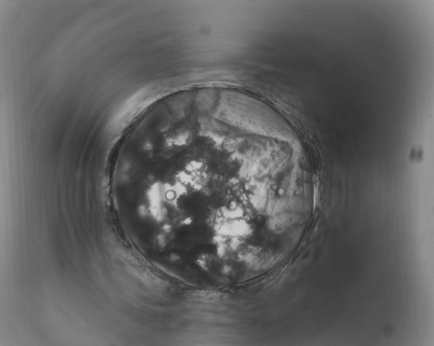 X0000111830339200908131551