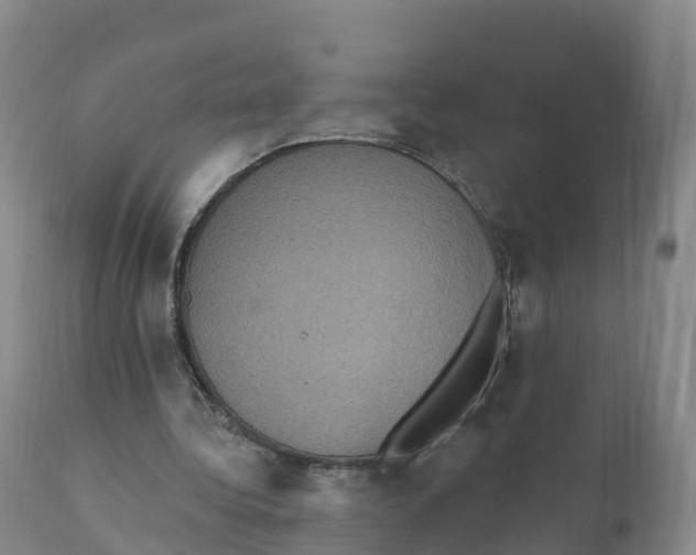 X0000111830340200908131551