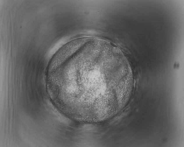 X0000111830341200908131551