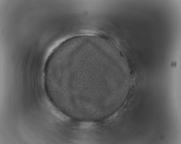 X0000111830342200908131551