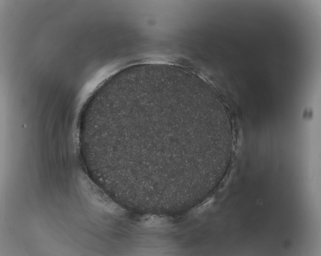 X0000111830343200908131551