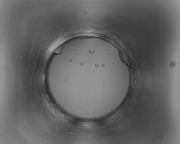 X0000111830344200908131551