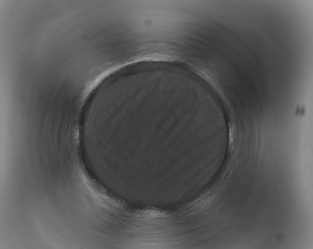 X0000111830348200908131551