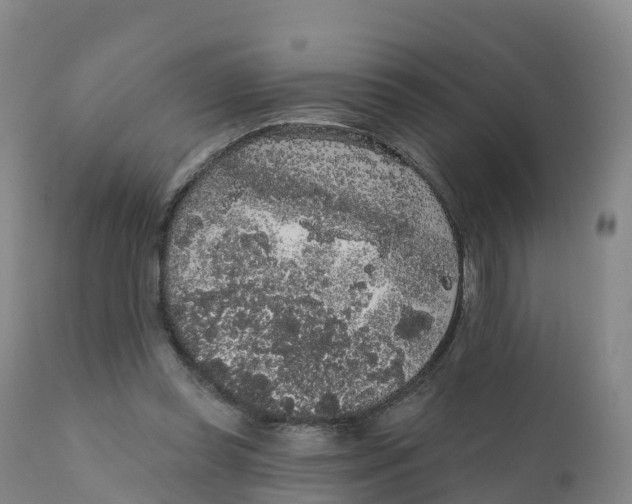 X0000111830349200908131551