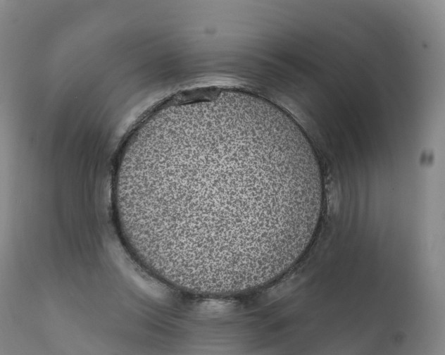 X0000111830350200908131551