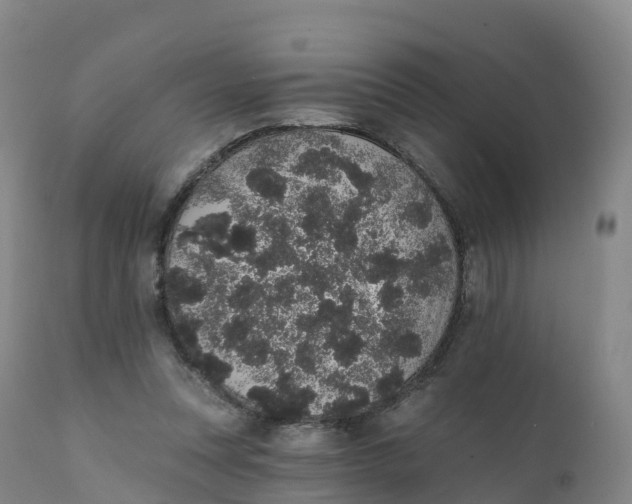 X0000111830351200908131551