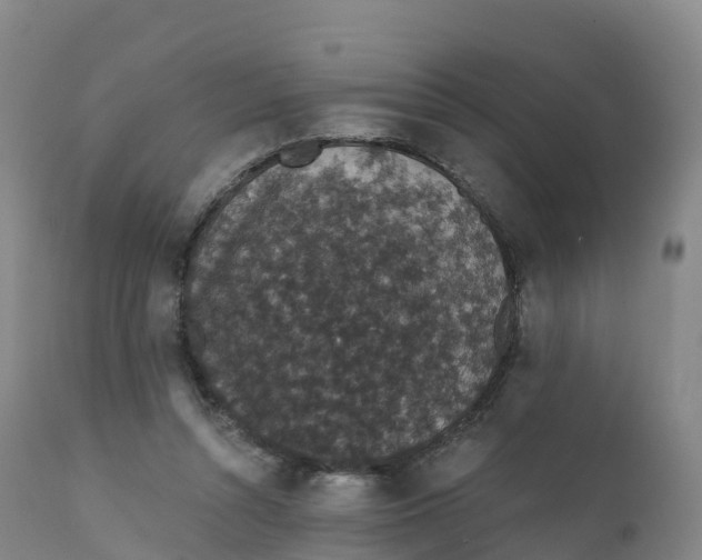 X0000111830352200908131551